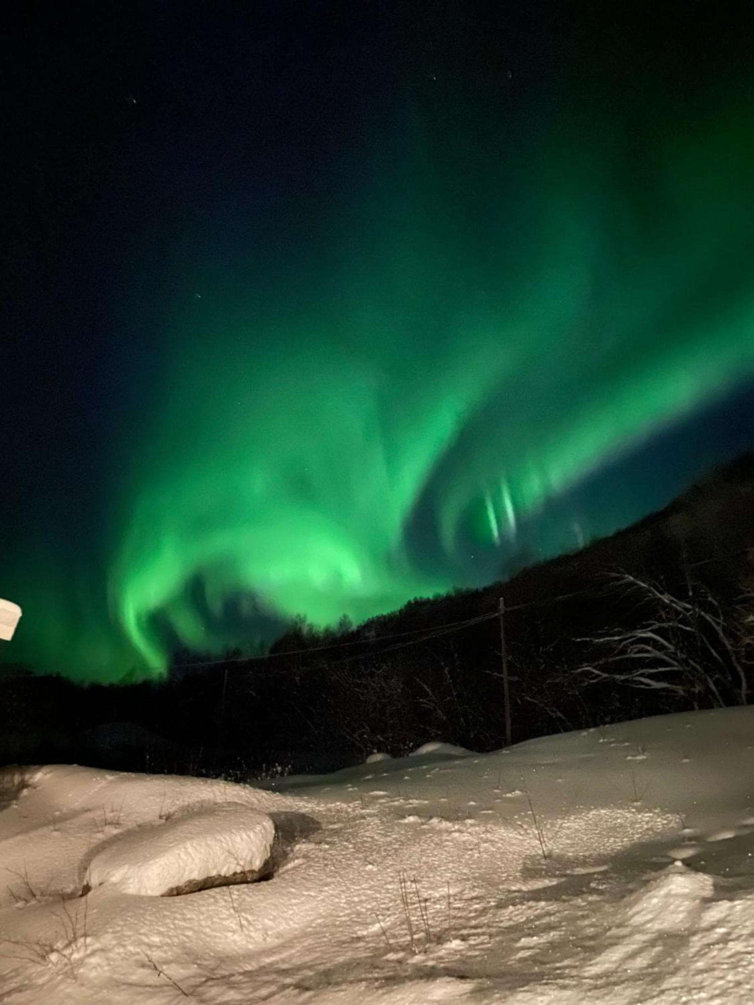 Sjarmerende Anneks I Sigerfjord, Vesteralen Sortland Kültér fotó
